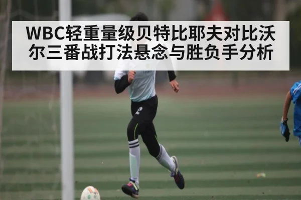 WBC轻重量级贝特比耶夫对比沃尔三番战打法悬念与胜负手分析