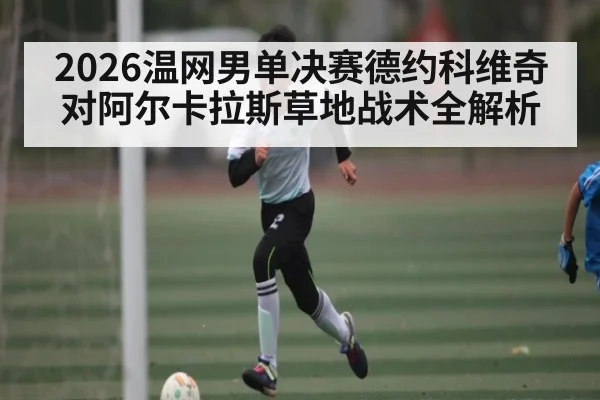 2026温网男单决赛德约科维奇对阿尔卡拉斯草地战术全解析